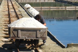 老盐场The Piran Salt Pans