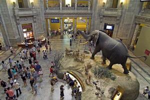 拉斯维加斯自然历史博物馆Las Vegas Natural History