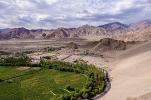 提克西寺Thikse Gompa