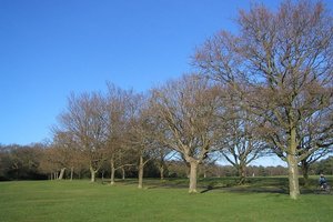 The CommonSouthampton Common