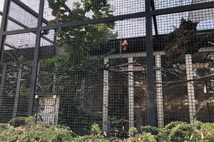 楚格动物园Zoo Zug