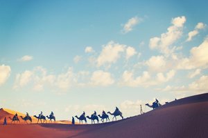 撒哈拉沙漠探险Safari in Sahara