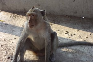 沙帕山Phnom Sampeu