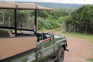 圣瓦里野生动物保护区Shamwari Game Reserve