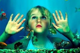 新西兰国家水族馆National Aquarium of New Zealand