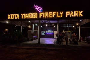 哥打丁宜萤火虫公园Kota Tinggi Firefly Park