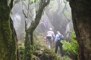 夏洛特女王步道荒野之旅Queen Charlotte Wilderness P