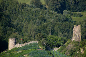 快乐山城堡Burgruine Freudenberg