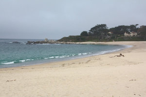 Carmel River State Beach