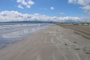 公牛岛Bull Island