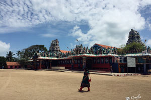 娜迦神庙Naga Pooshani Ambal Kovil