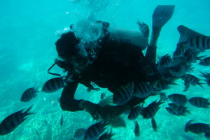 埃及海滩短游Best Egypt Shore Day Excursions