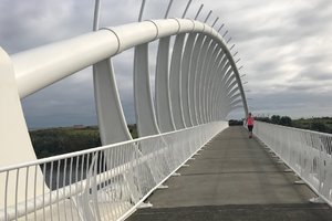 迪雷哇雷哇桥Te Rewa Rewa Bridge