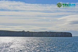 科柳钦岛Kolyuchin Island
