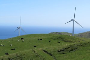 高草山脊农场游Tussock Ridge Farm Tours