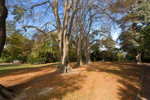 Abberley Gardens