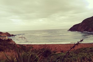 怒吼湾Roaring Bay