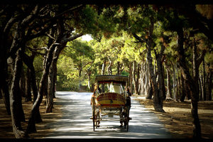 大岛Büyükada