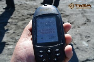弗兰格尔岛Wrangel Island