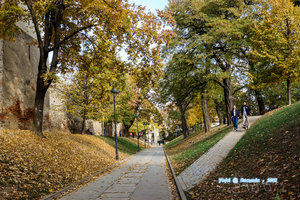 Citadel Park