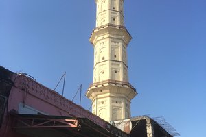 Isarlat Sargasooli