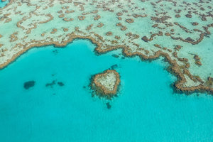心形礁Heart Reef