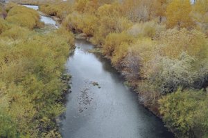 图勒河Tuul Gol River