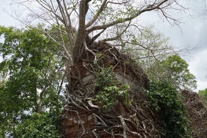 五塔Prasat Pram