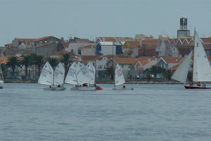阿威罗潟湖Aveiro Lagoon