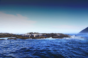 海豹岛Duiker Island