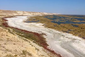 咸海ARAL SEA