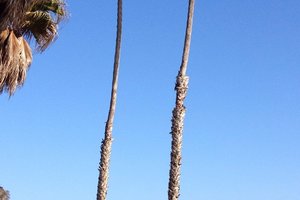 Arroyo Burro County Beach Park