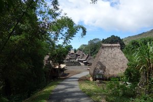 贝纳村bena village