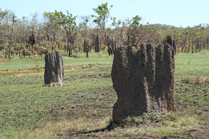 李治菲特国家公园Litchfield National Park