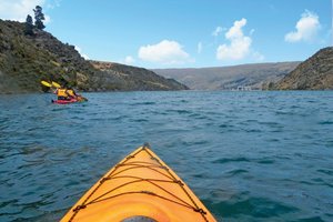 罗克斯堡湖旅舍Lake Roxburgh Lodge