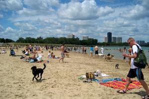 Montrose Avenue Beach