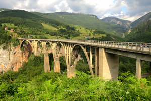 塔拉大桥Tara Bridge