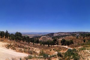 拿撒勒村Nazareth Village