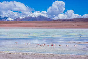 Lagoon Hedionda