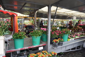 Prinzipalmarkt广场Prinzipalmarkt