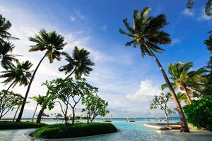 玛里富士岛Maalifushi