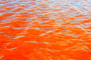 特拉维哈粉红湖(Las Salinas de Torrevieja)