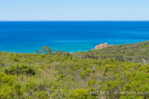 戴士柏Dunsborough