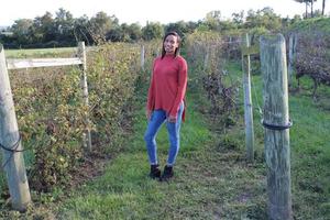 Urban Vineyard