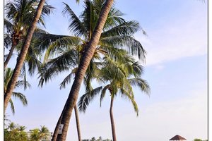 丹戎海滩Tanjong Beach