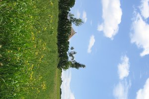青尼罗河瀑布Blue Nile