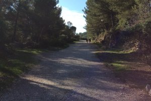 卡朗格峡湾国家公园Parc national des Calanques