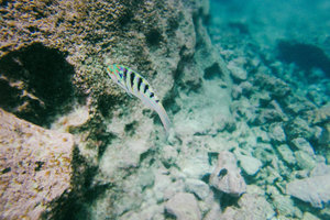 碧海拱门山Talava Arches