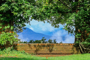 艾弗葛雷兹花园Everglades Garden