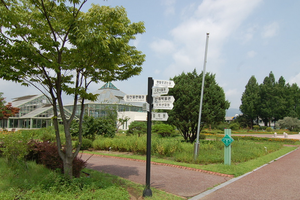 江原道立花木园